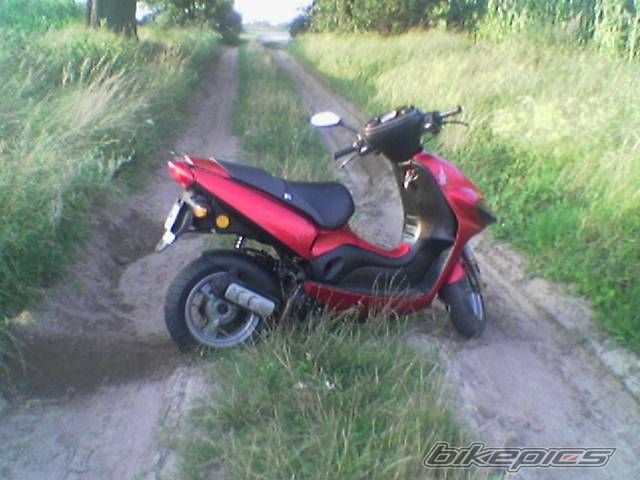 Photo 980997