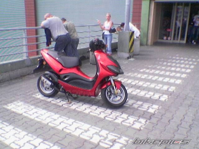 Photo 981000