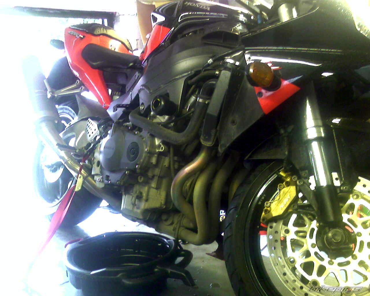 Photo 981033