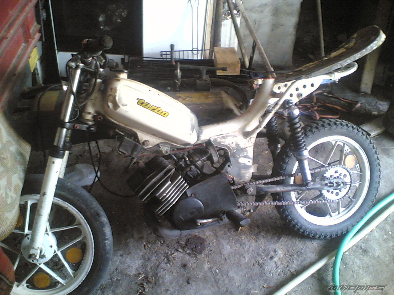 Photo 981035