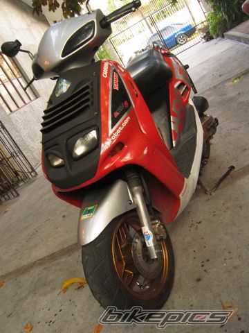 Photo 981093