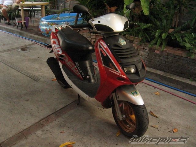 Photo 981094