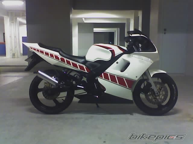Bike Photo 981121