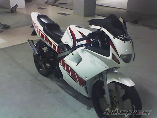 Photo 981123