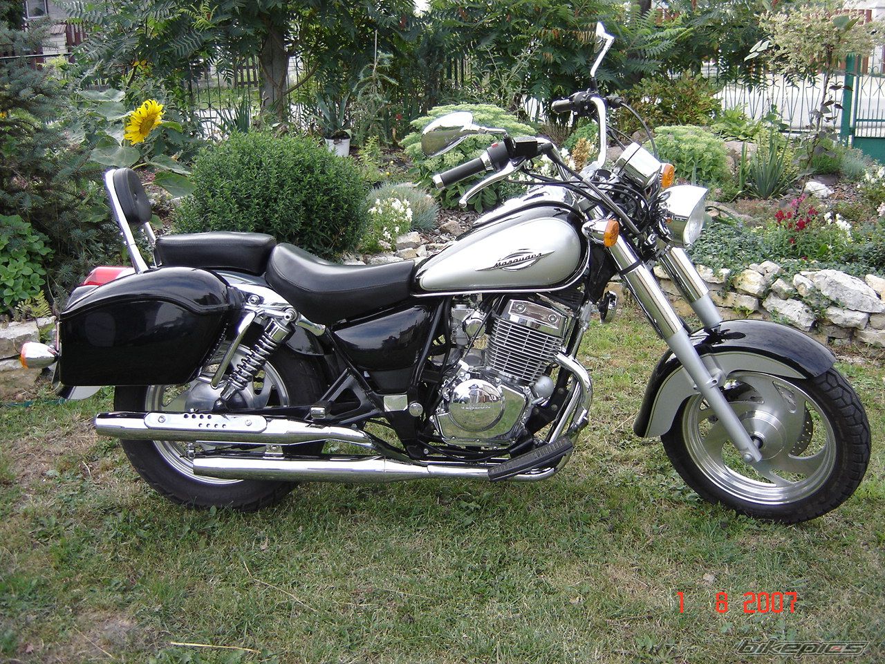Bike Photo 981226