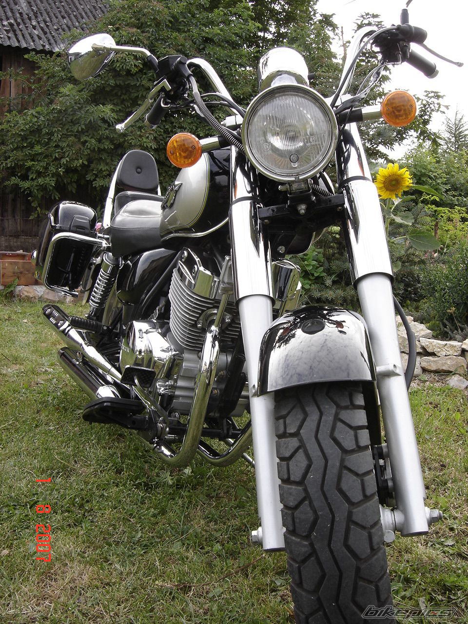 Bike Photo 981227