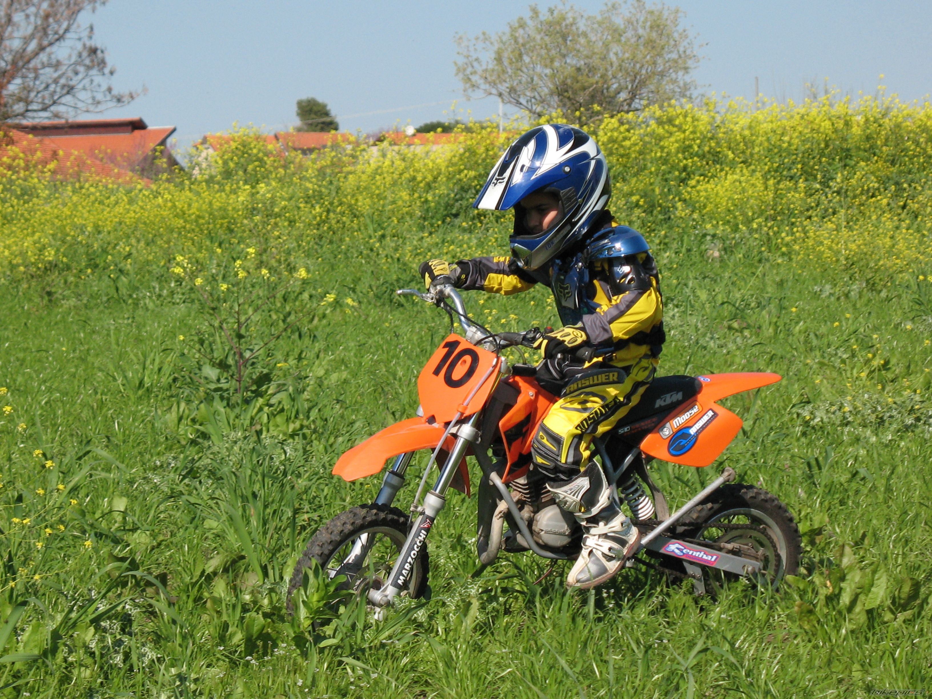 Photo 981262