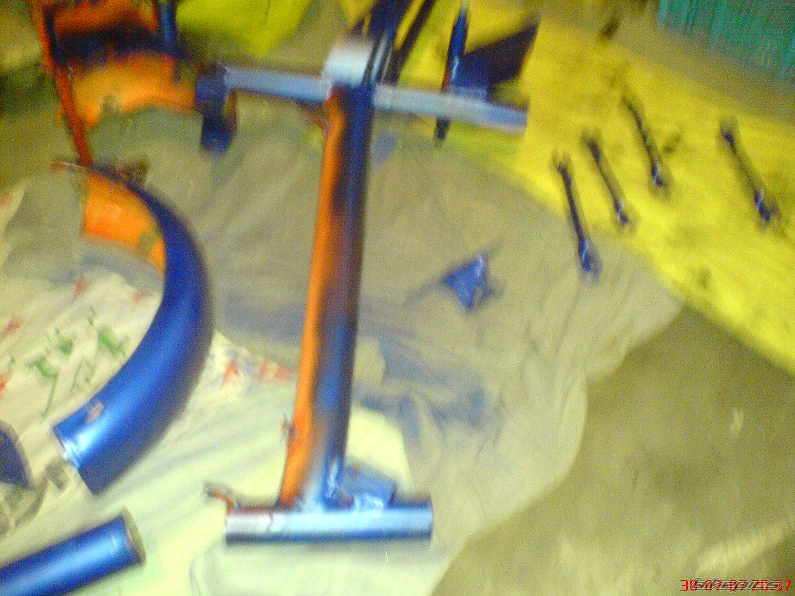 Photo 981294