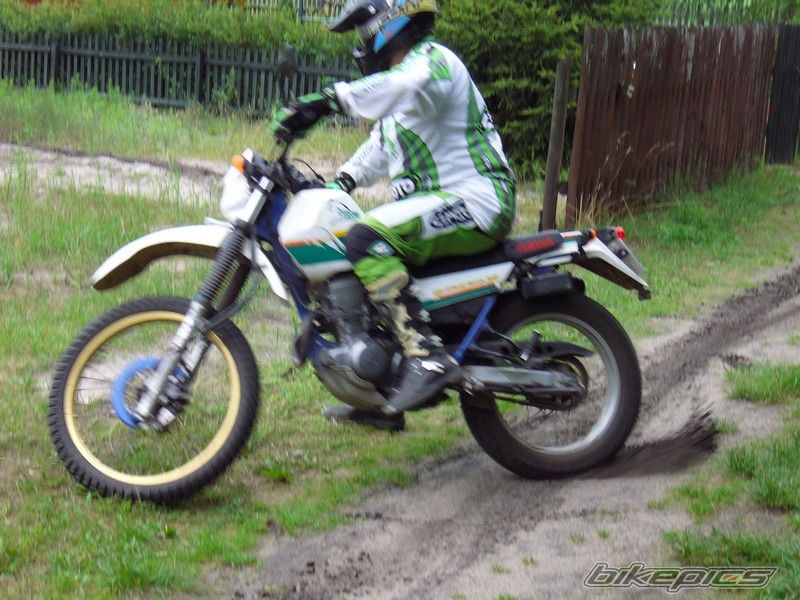 Photo 981312