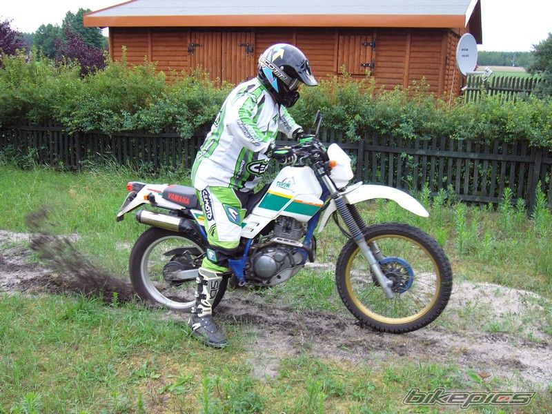 Photo 981313