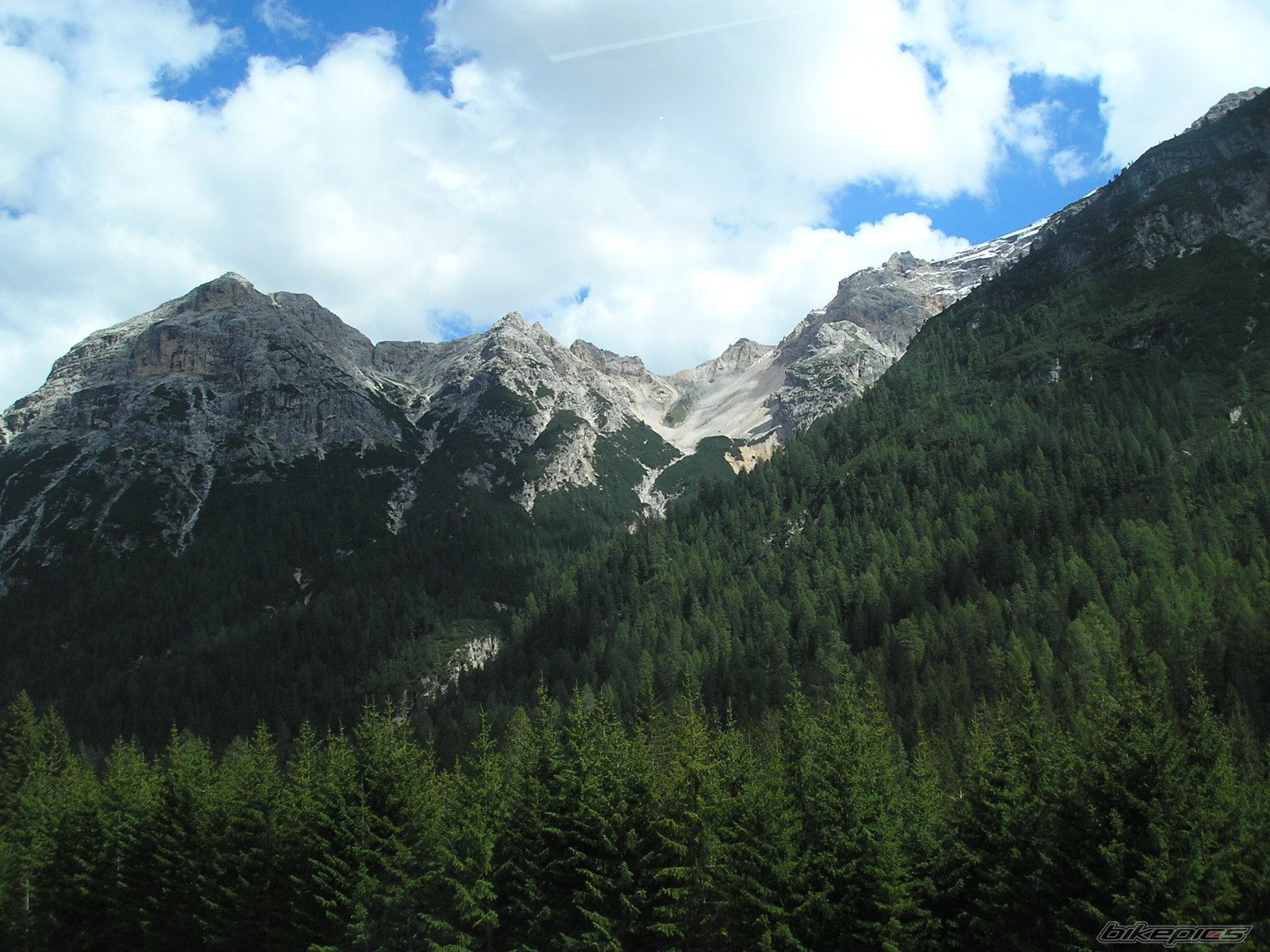 Photo 981314