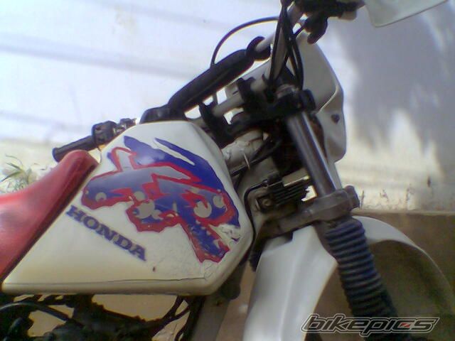 Bike Photo 981403