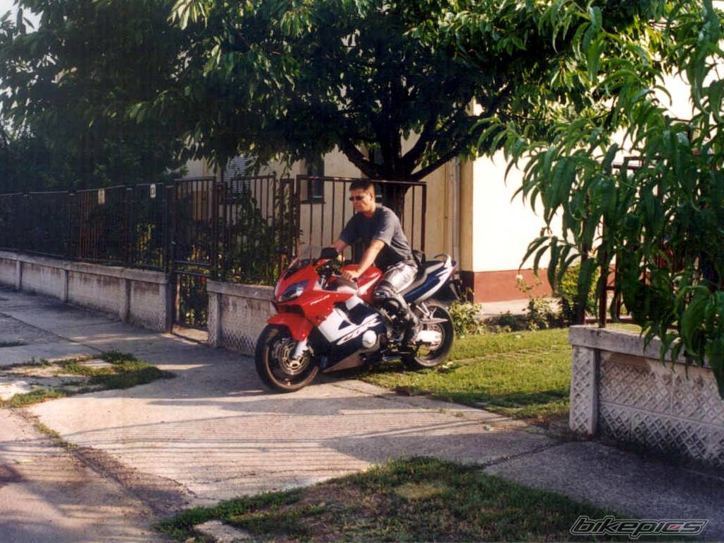 Photo 98142
