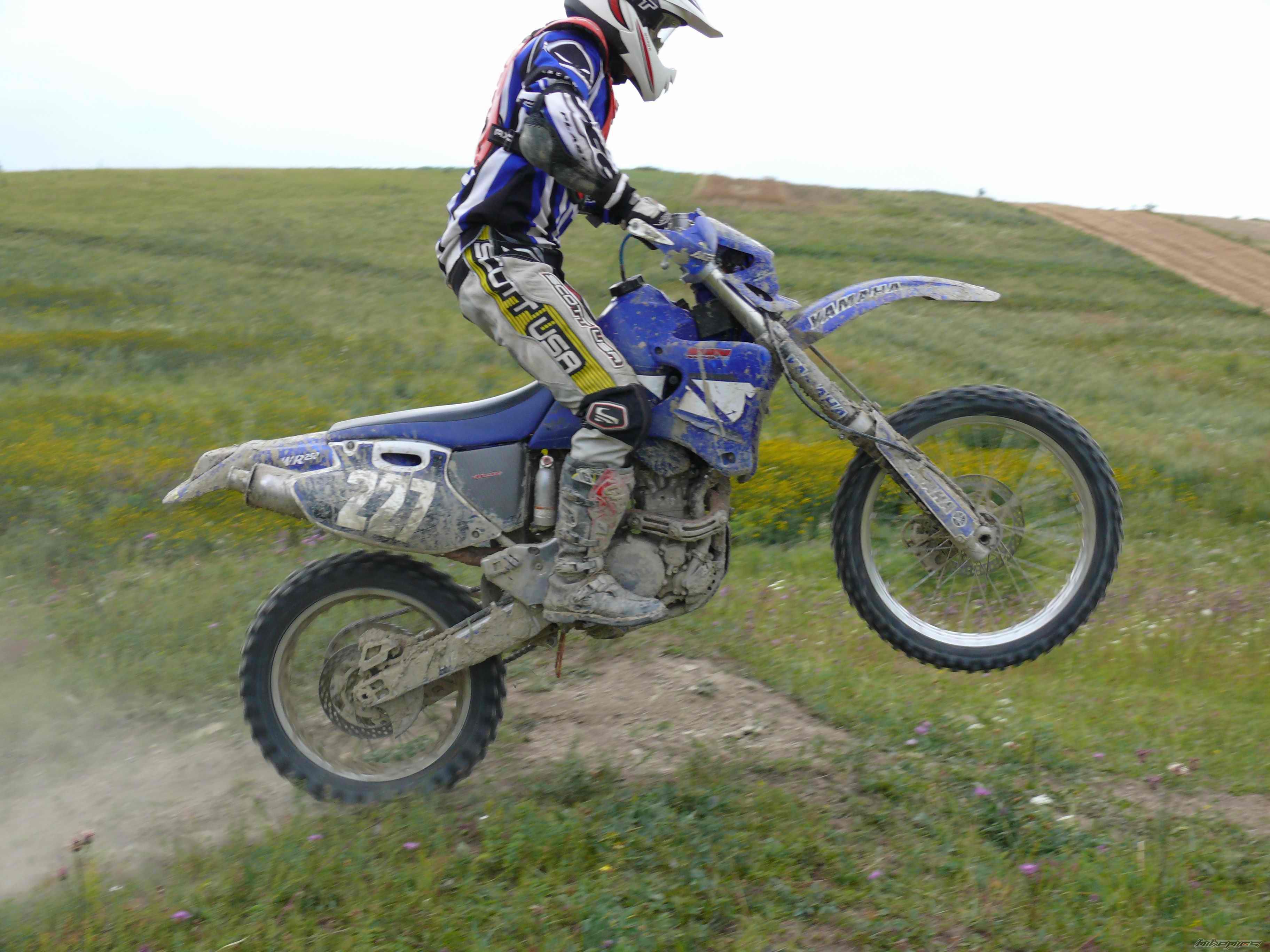 Photo 981482