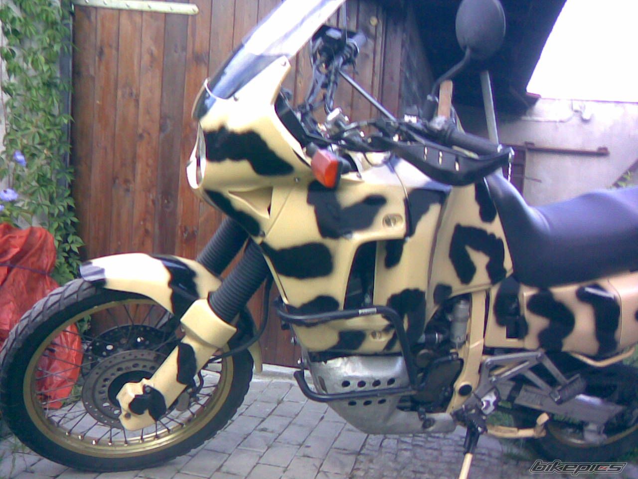 Bike Photo 981502