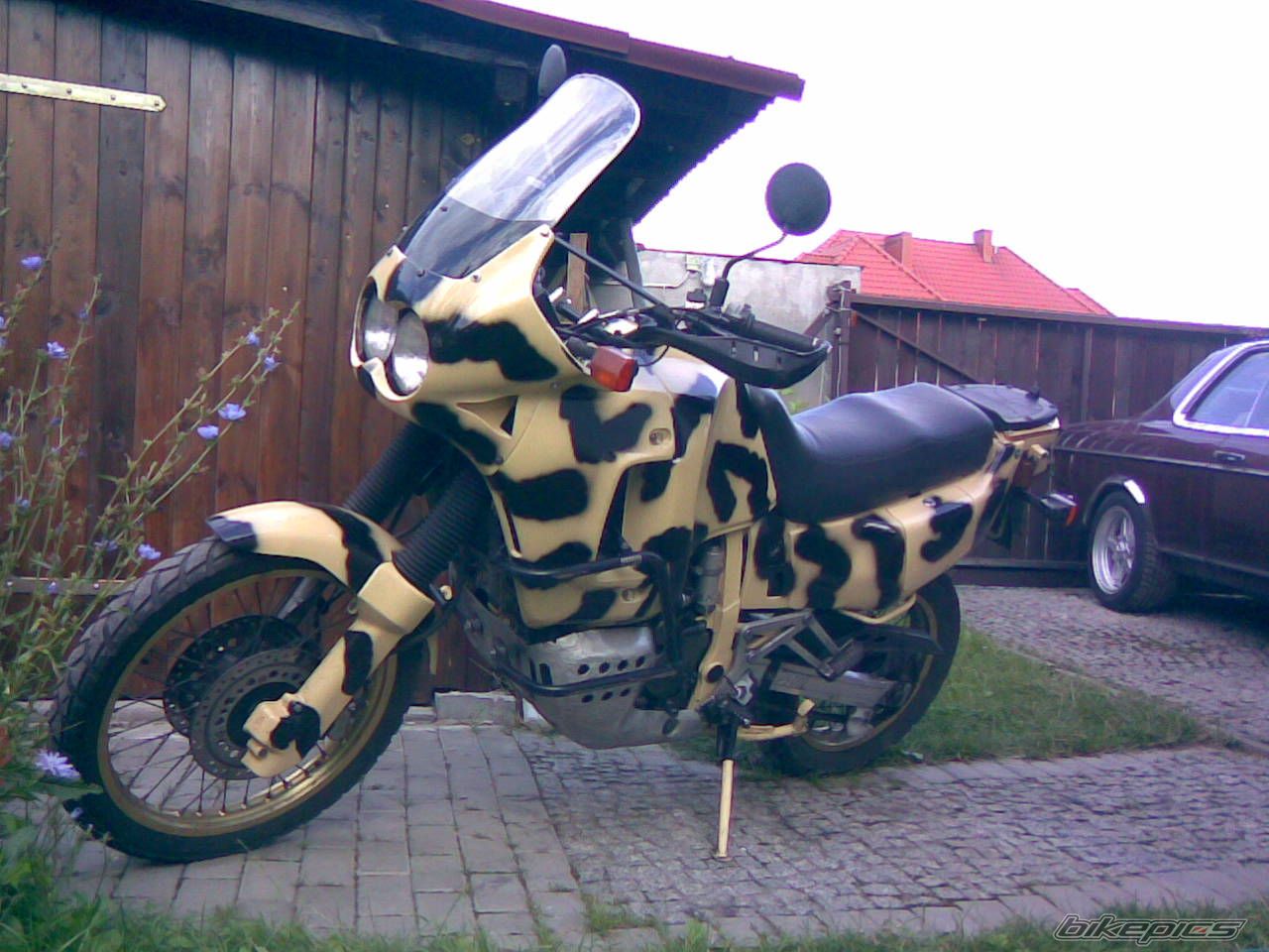 Bike Photo 981504