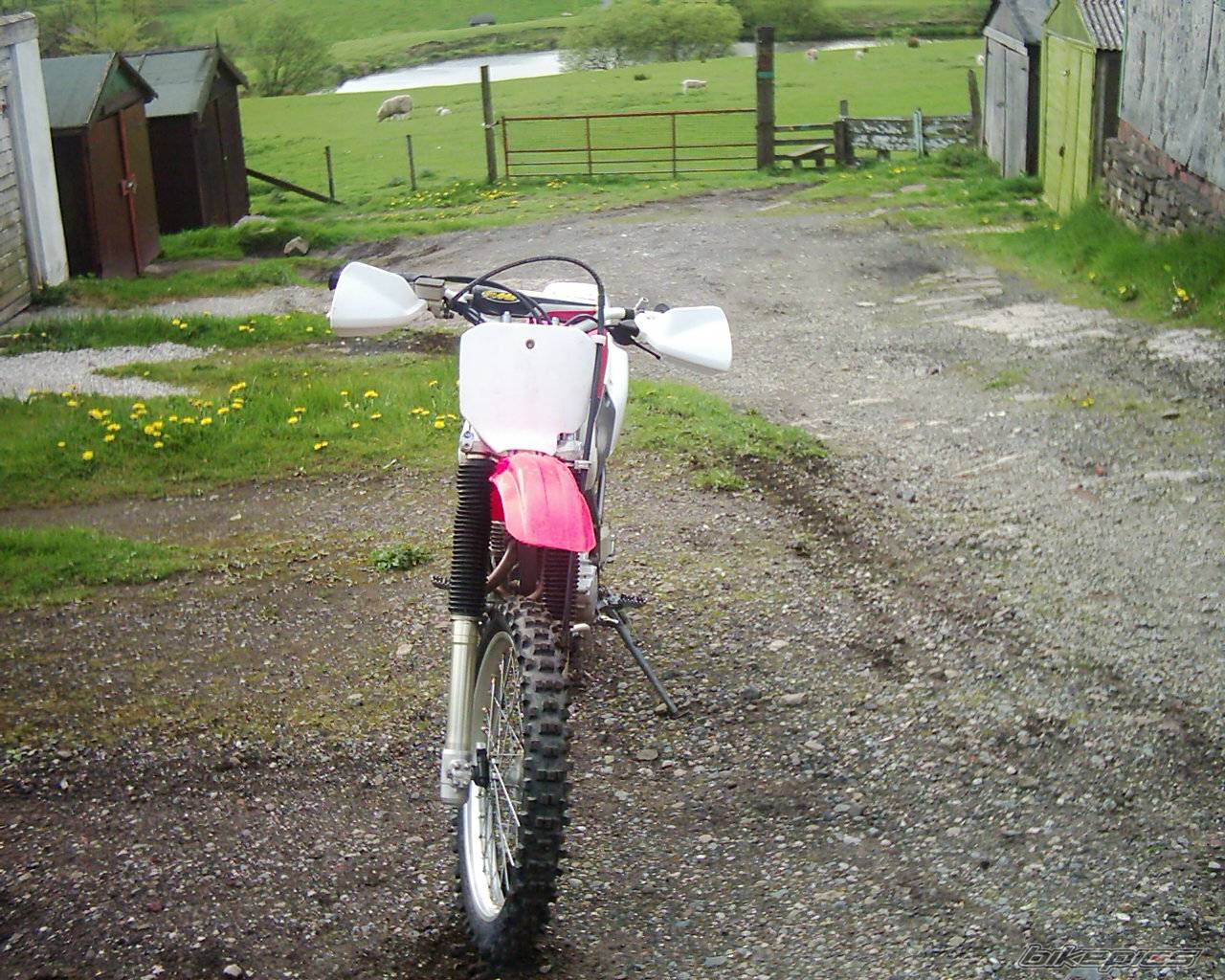 Photo 98160