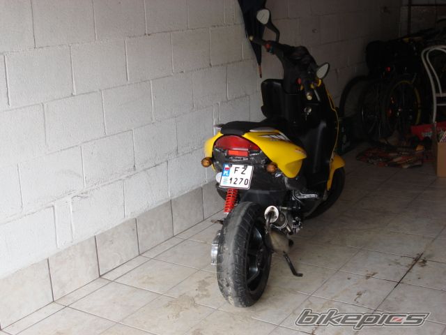 Photo 981606