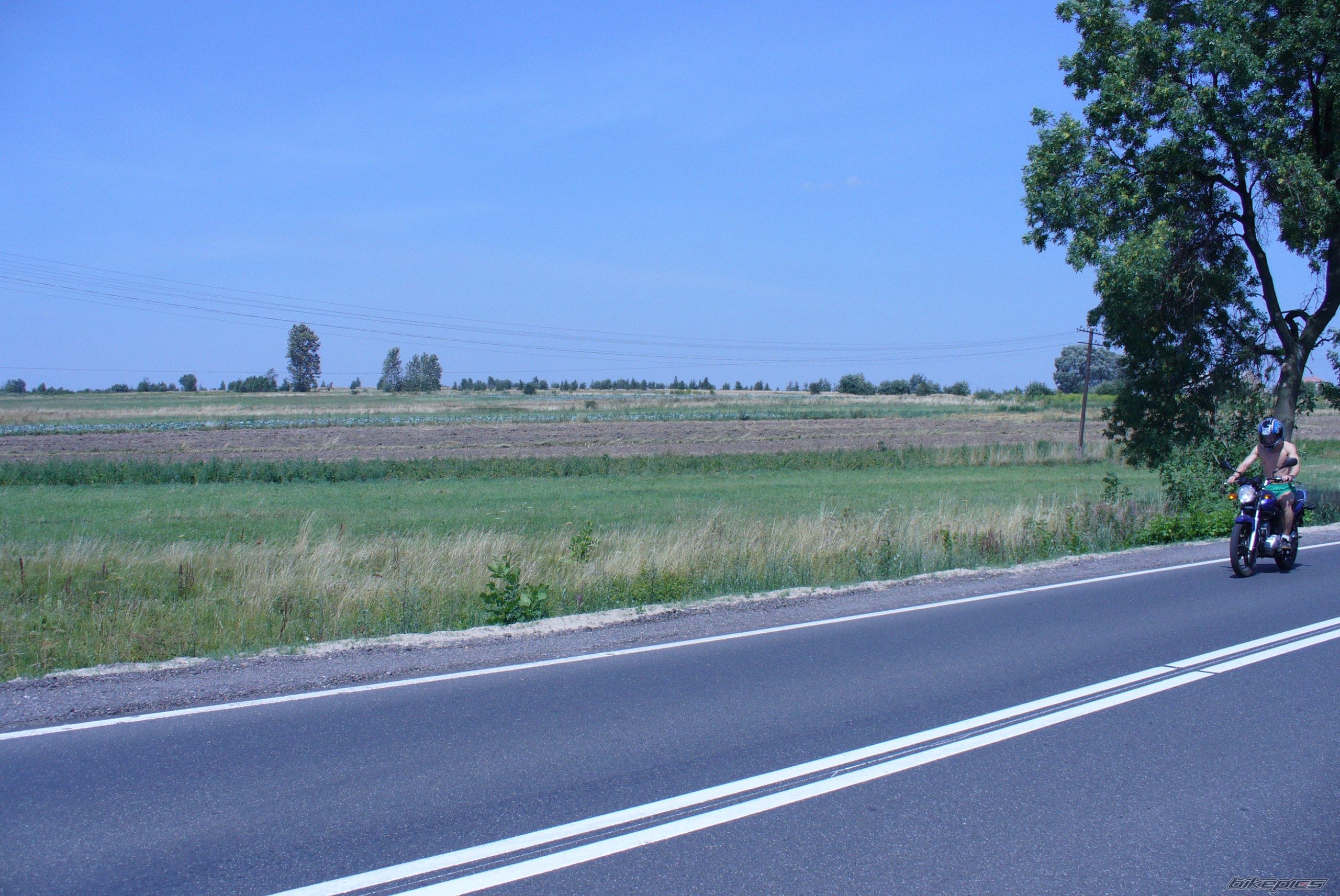 Photo 981616