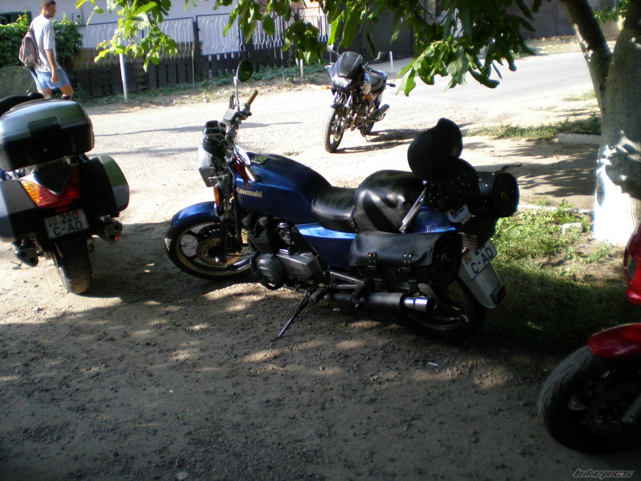 Photo 981652
