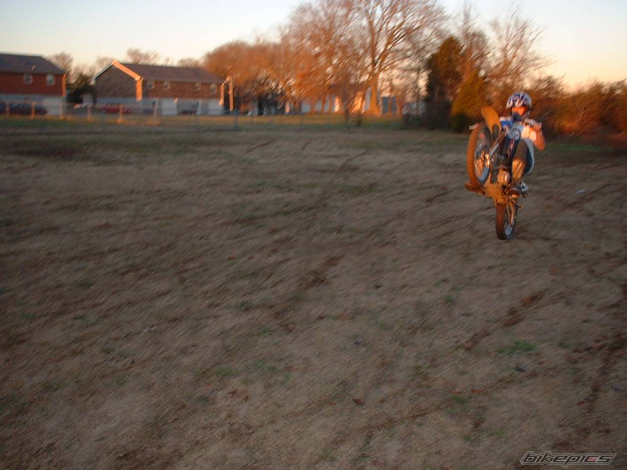 Photo 98183