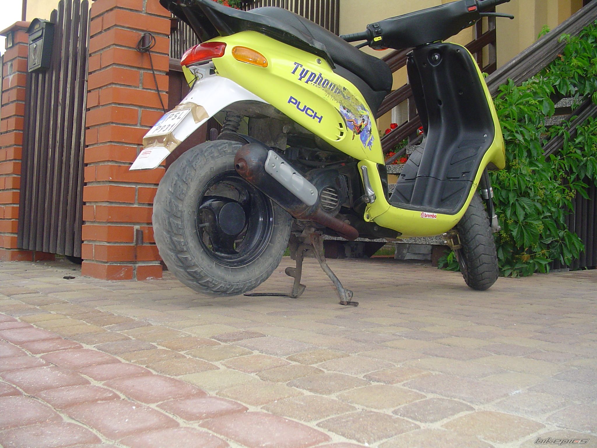 Photo 981830