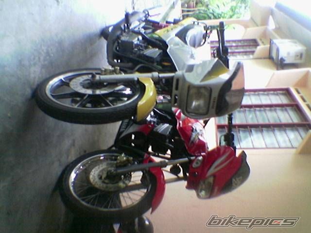 Photo 981864