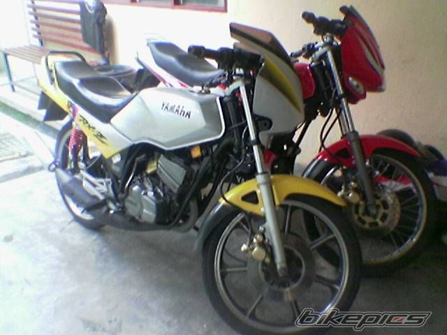 Photo 981868