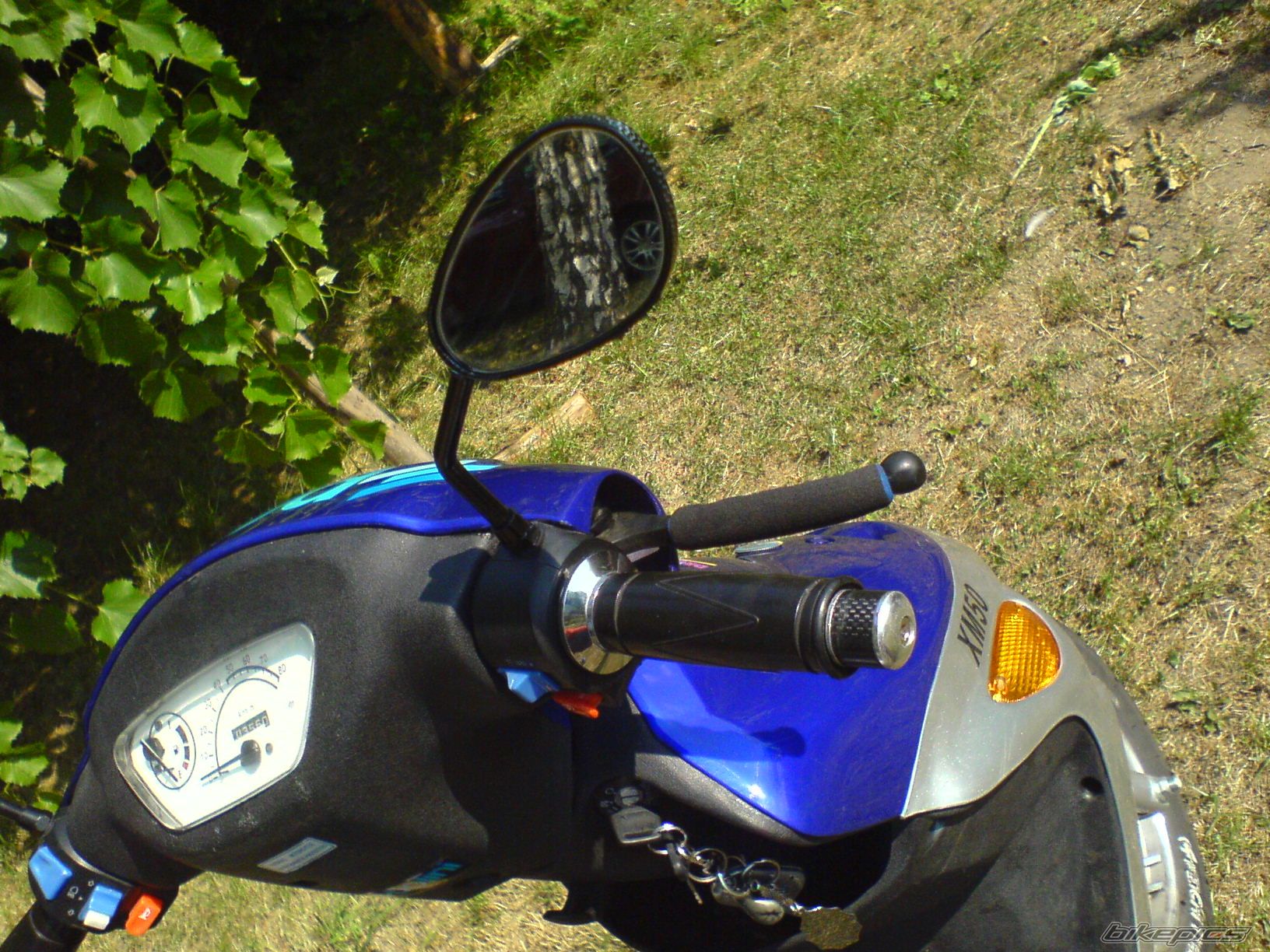Photo 982021