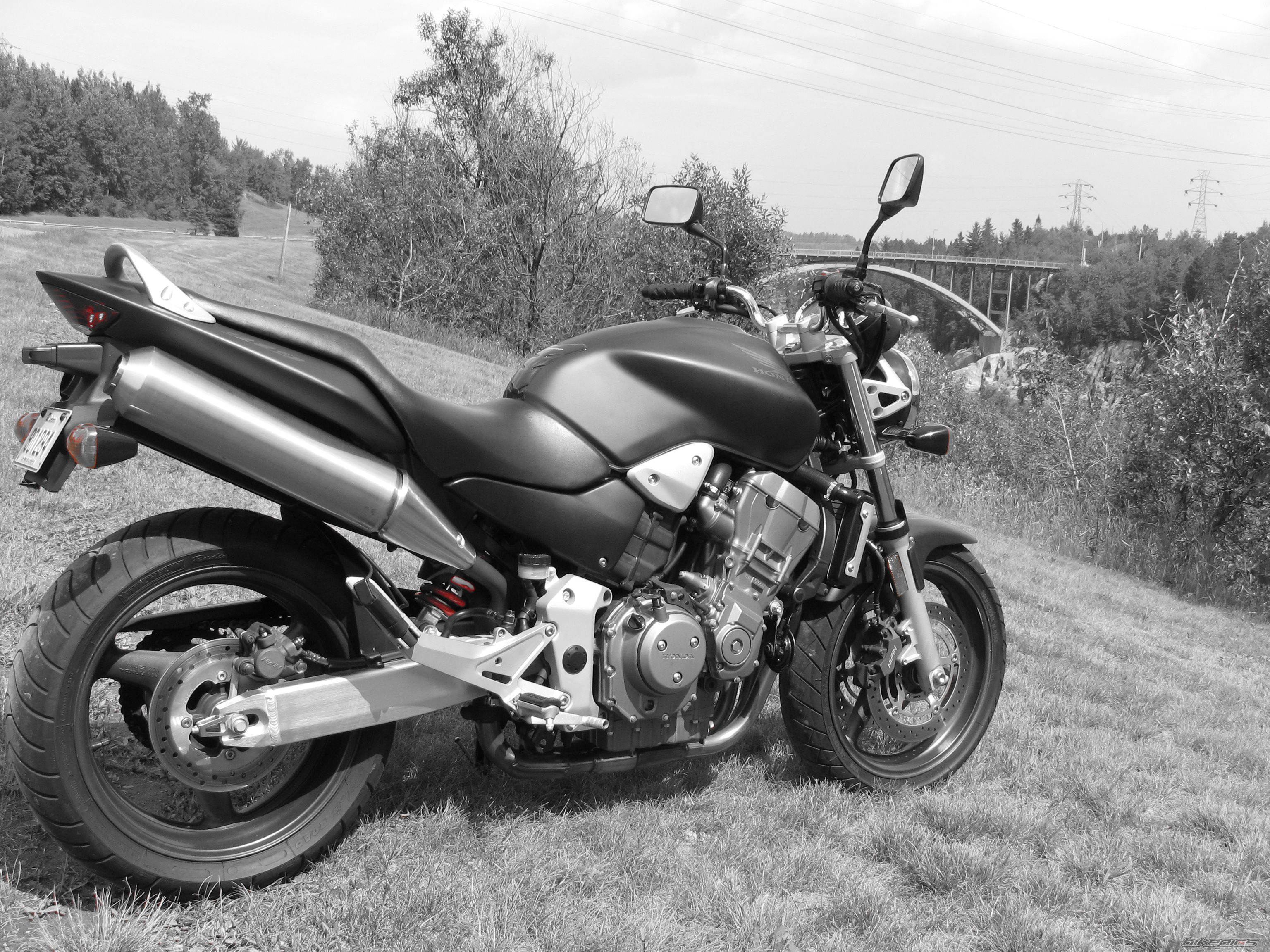 Photo 982155