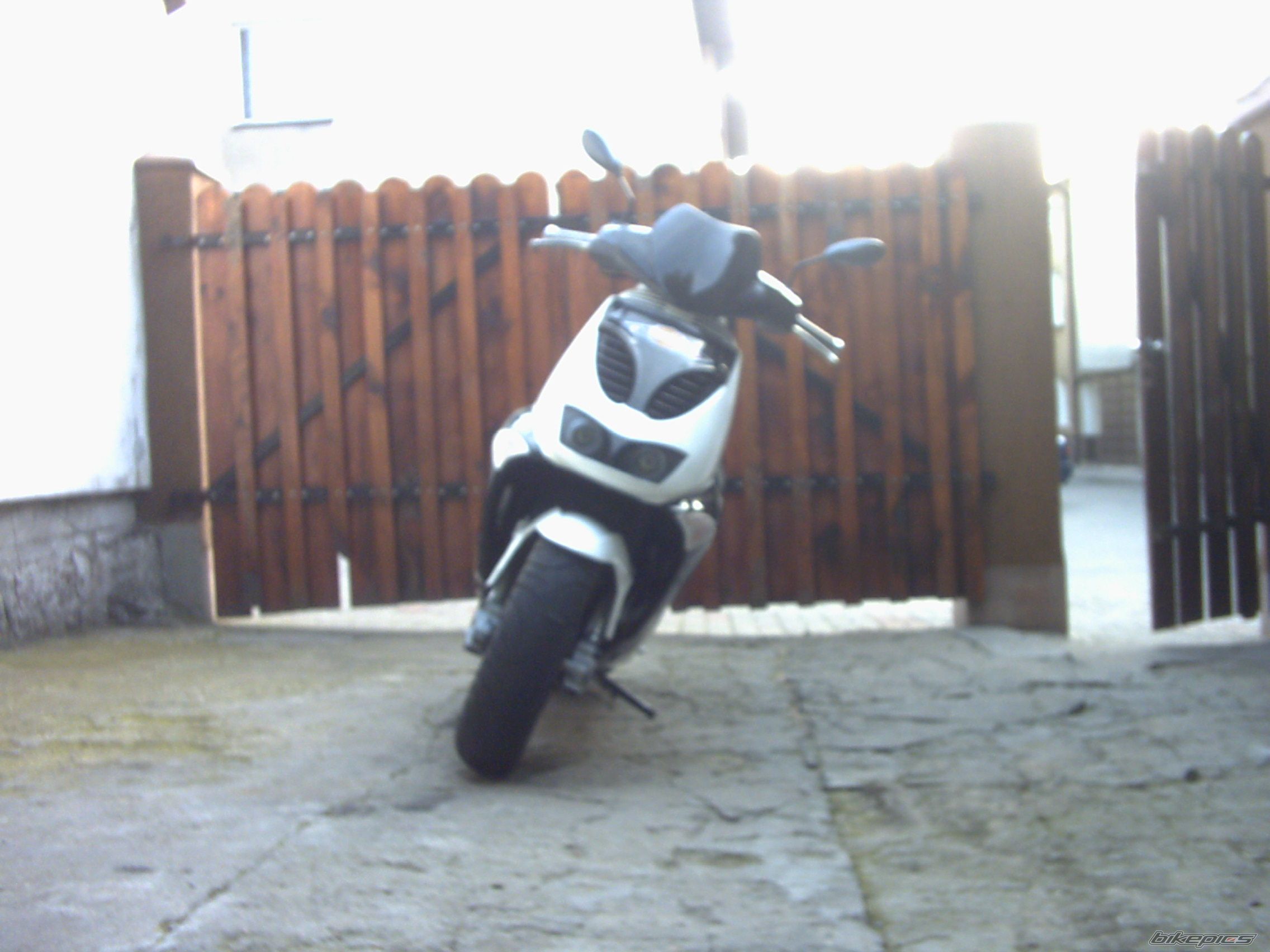 Photo 982272