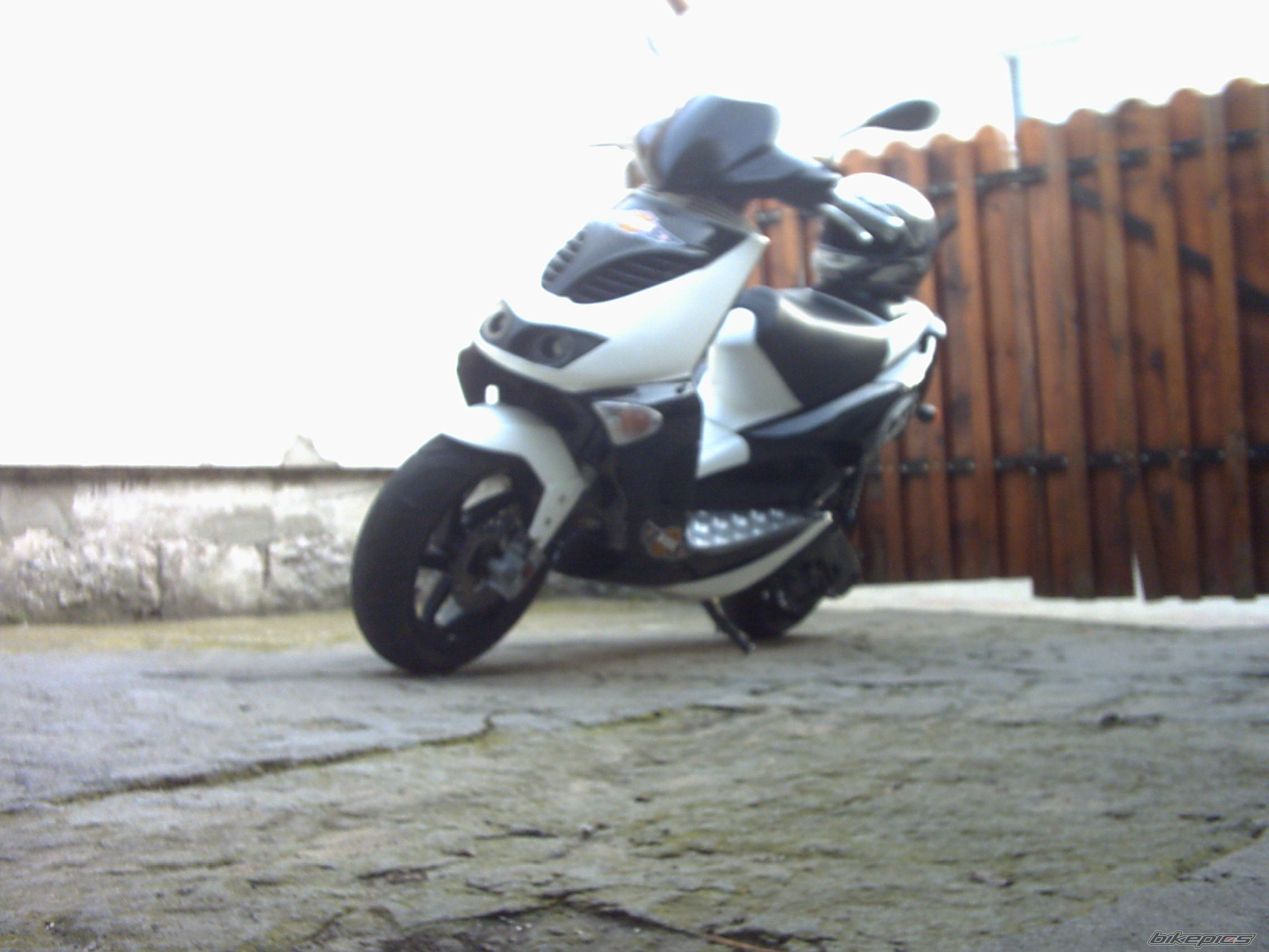 Photo 982273