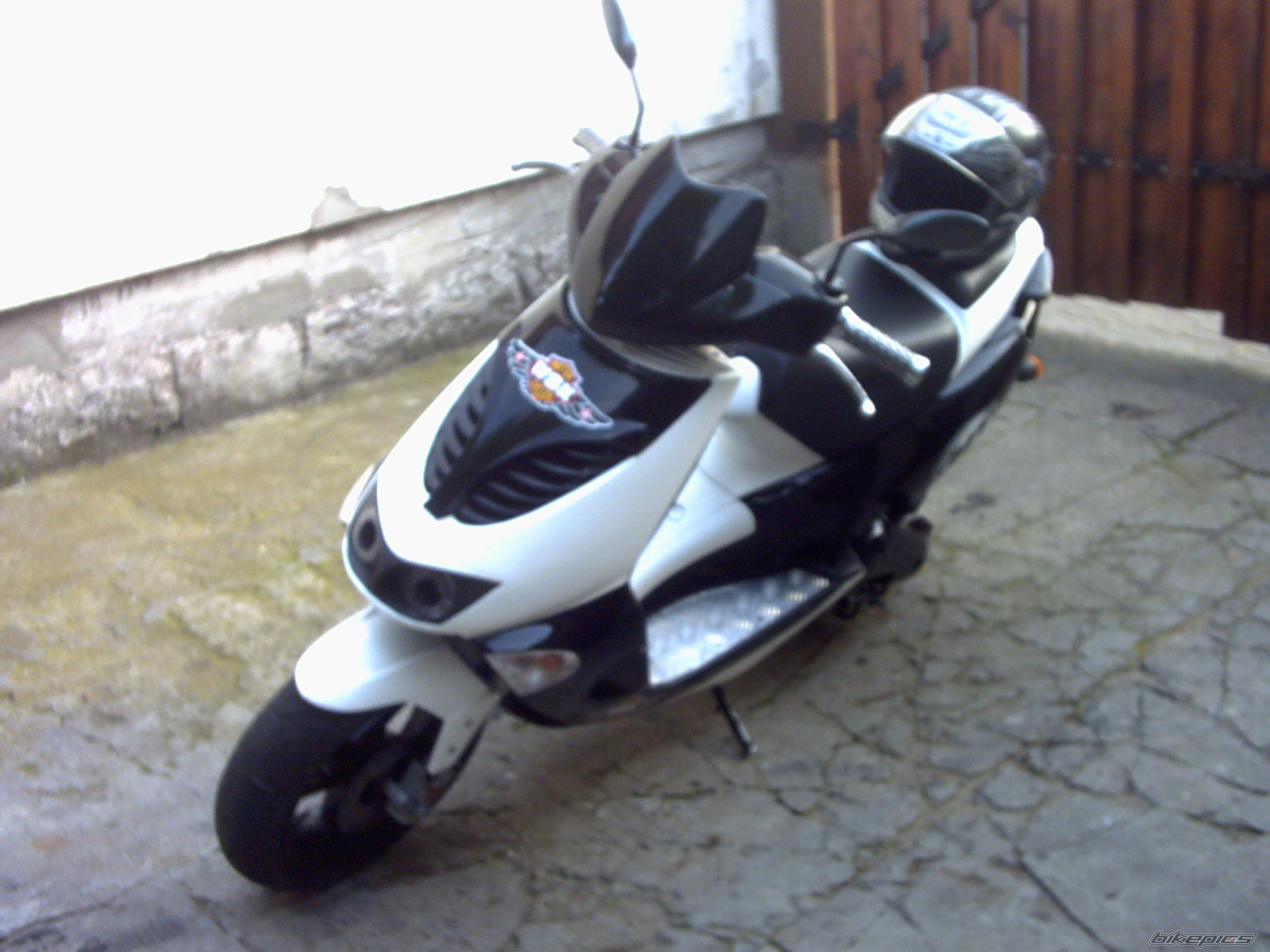 Photo 982280