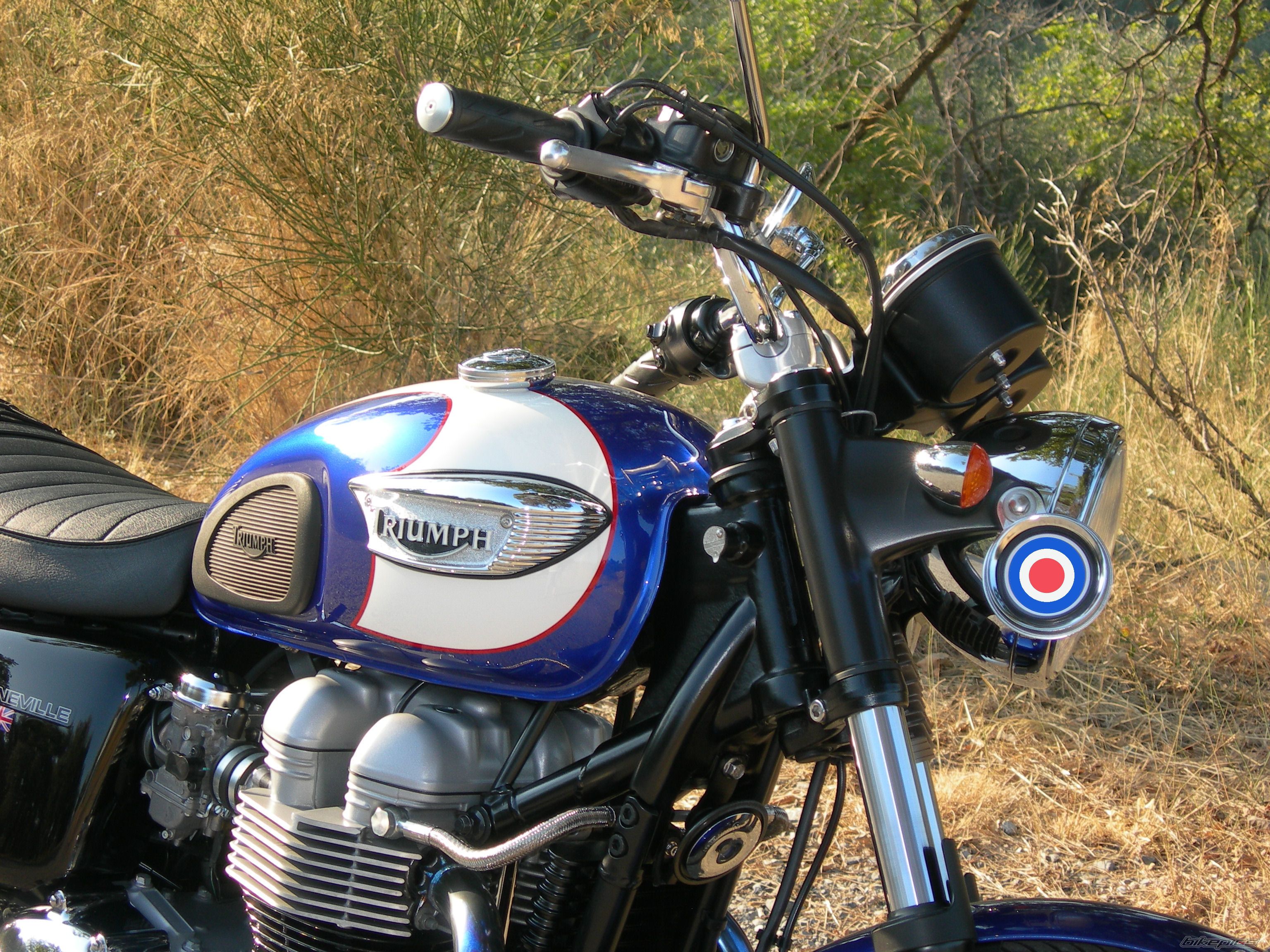 Bike Photo 982289