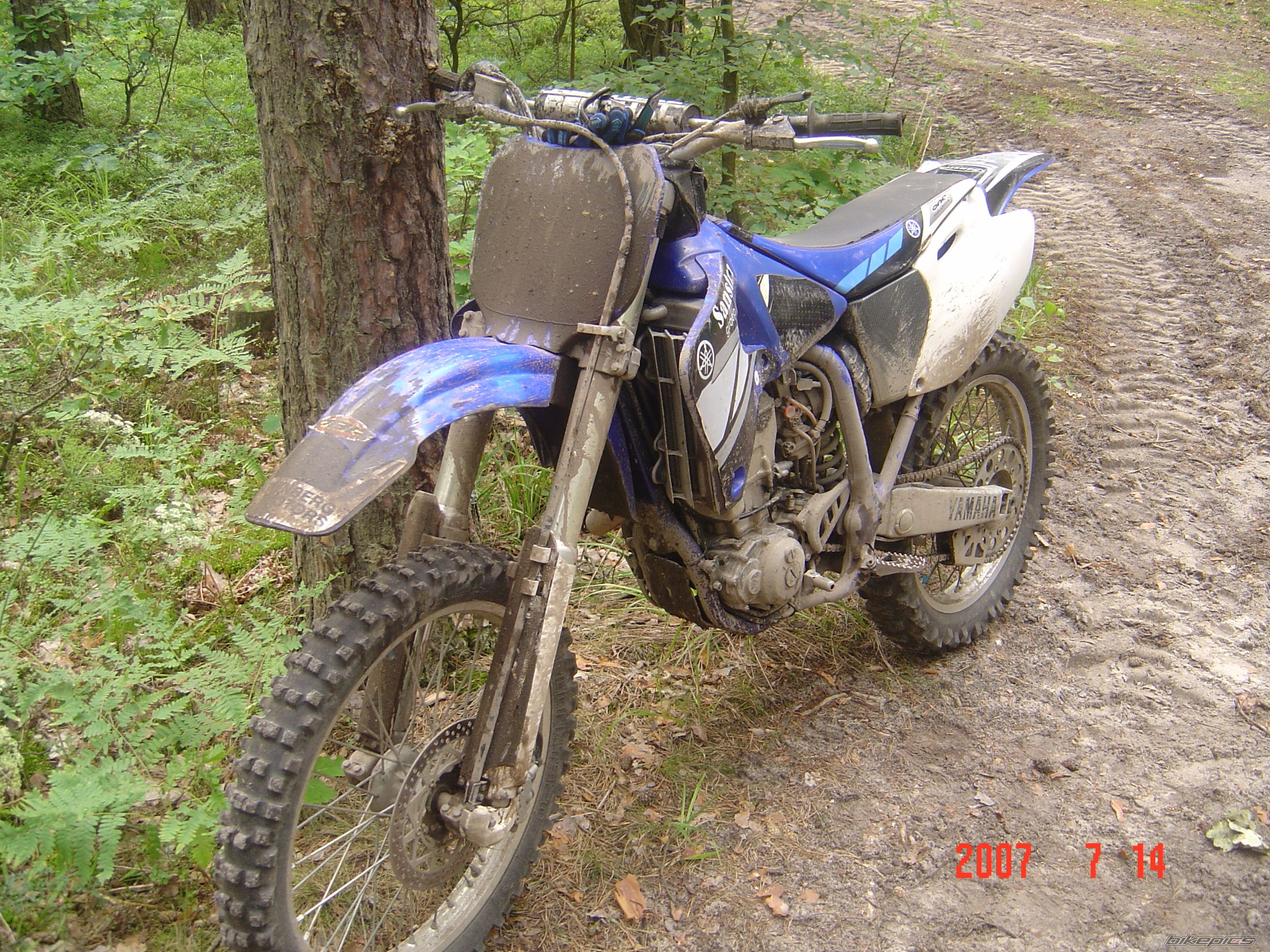 Photo 982293