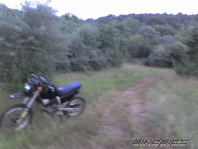 Photo 982336