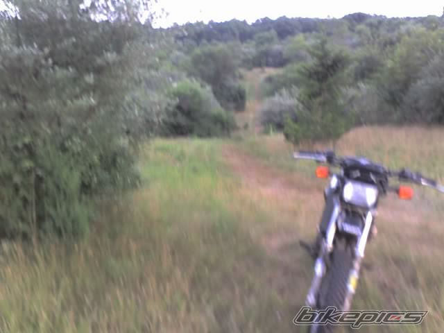 Photo 982337