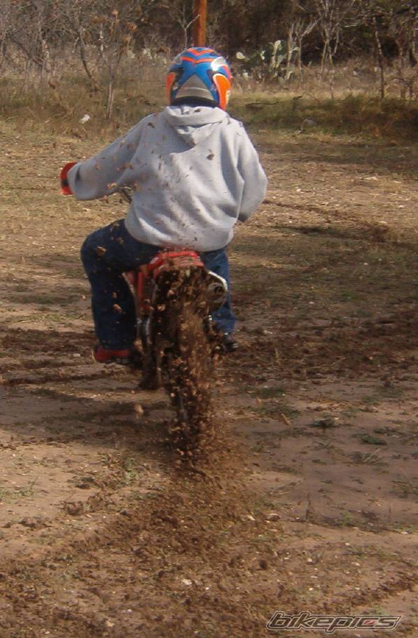 Photo 98243