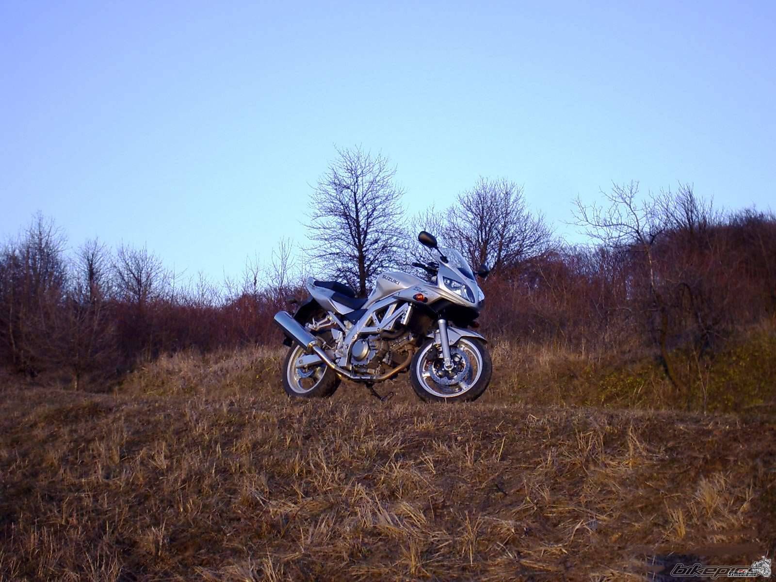Photo 982430