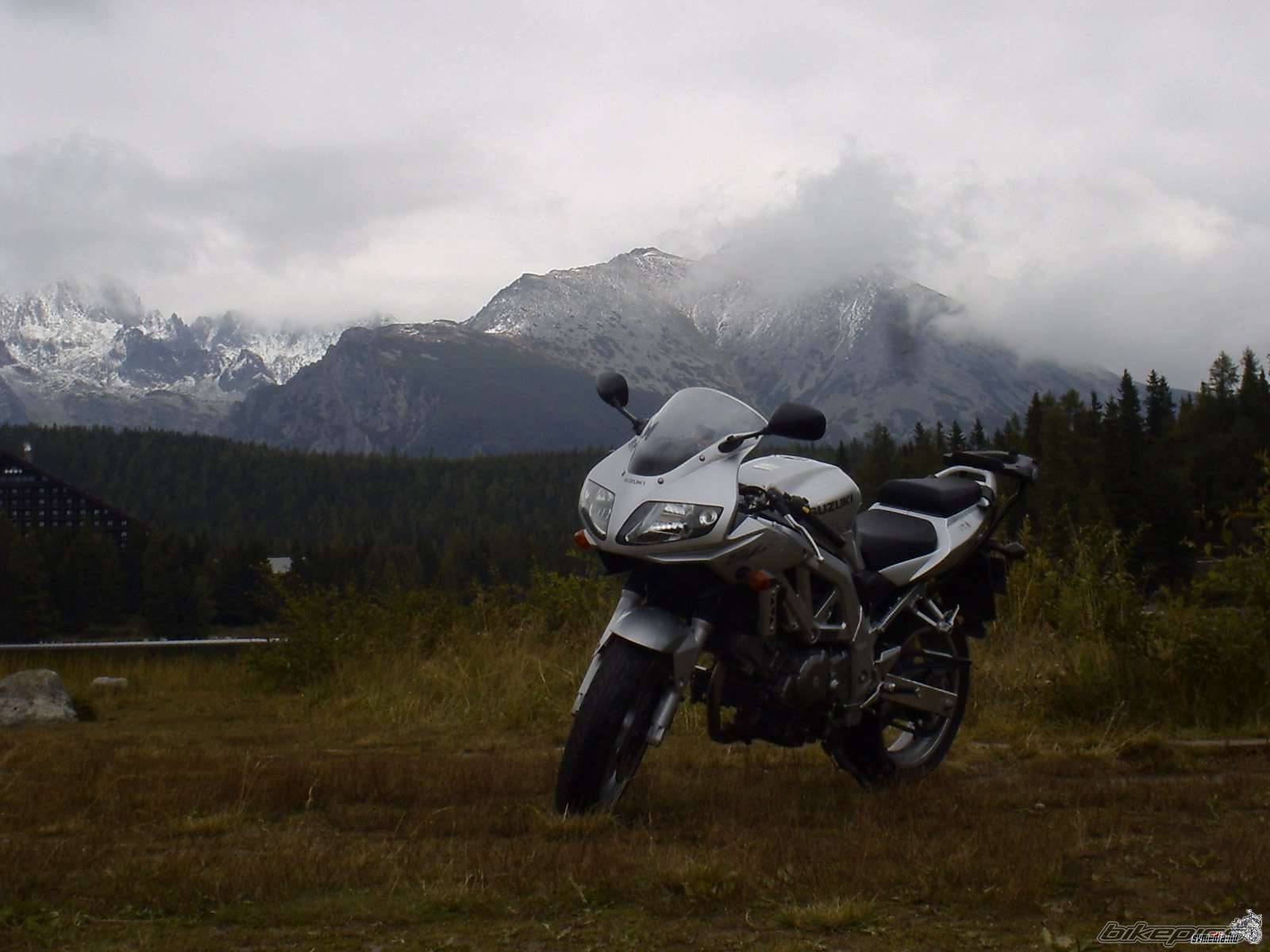 Photo 982435