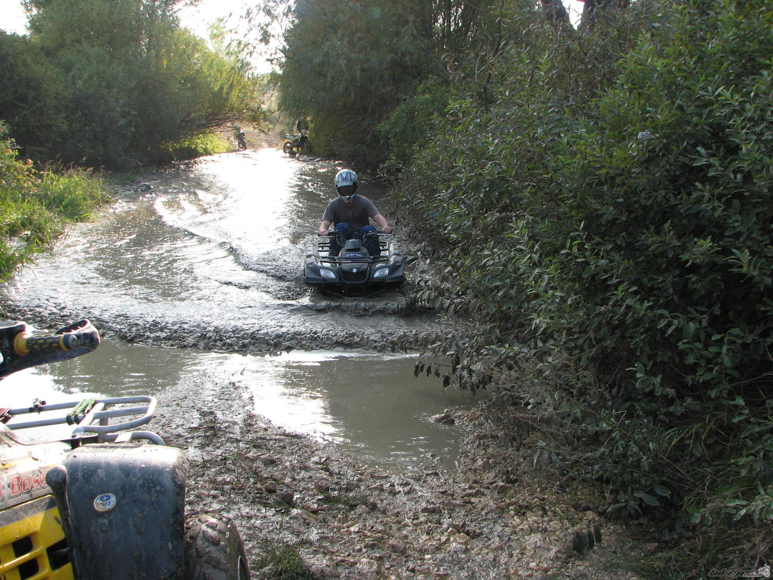 Photo 982473