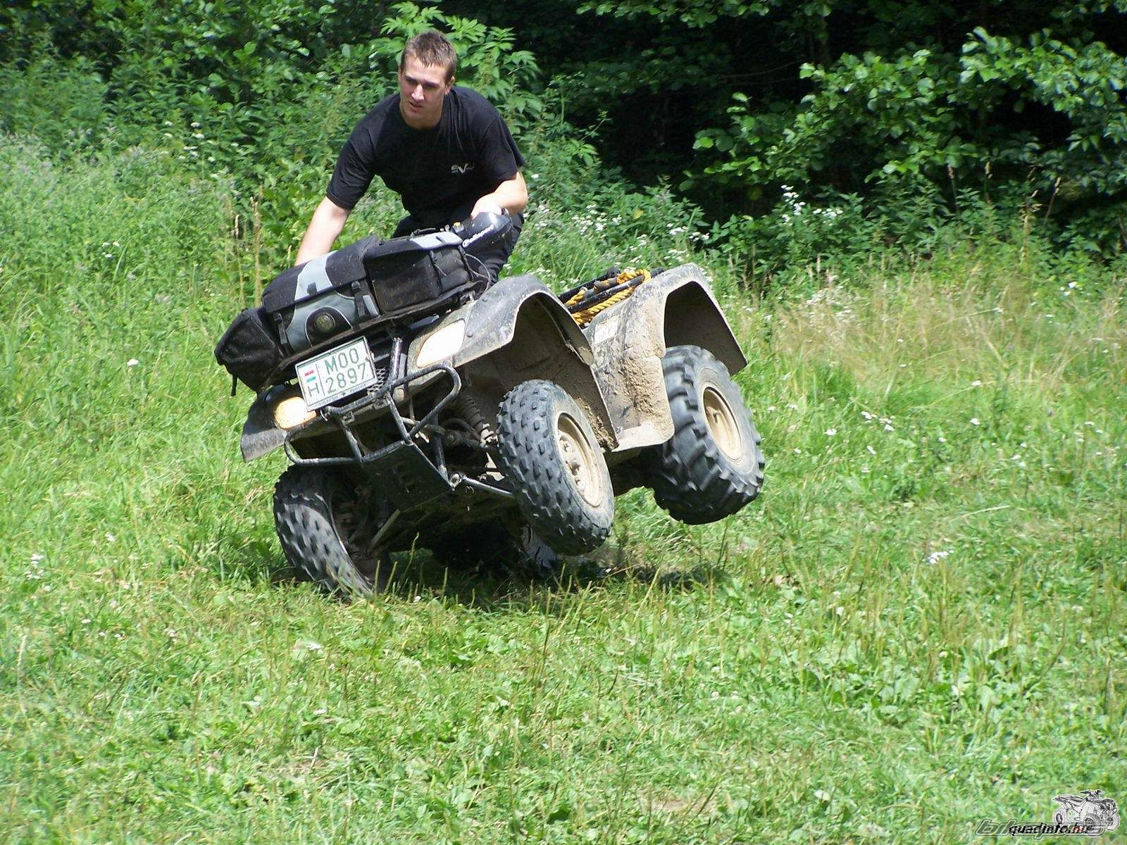 Photo 982492