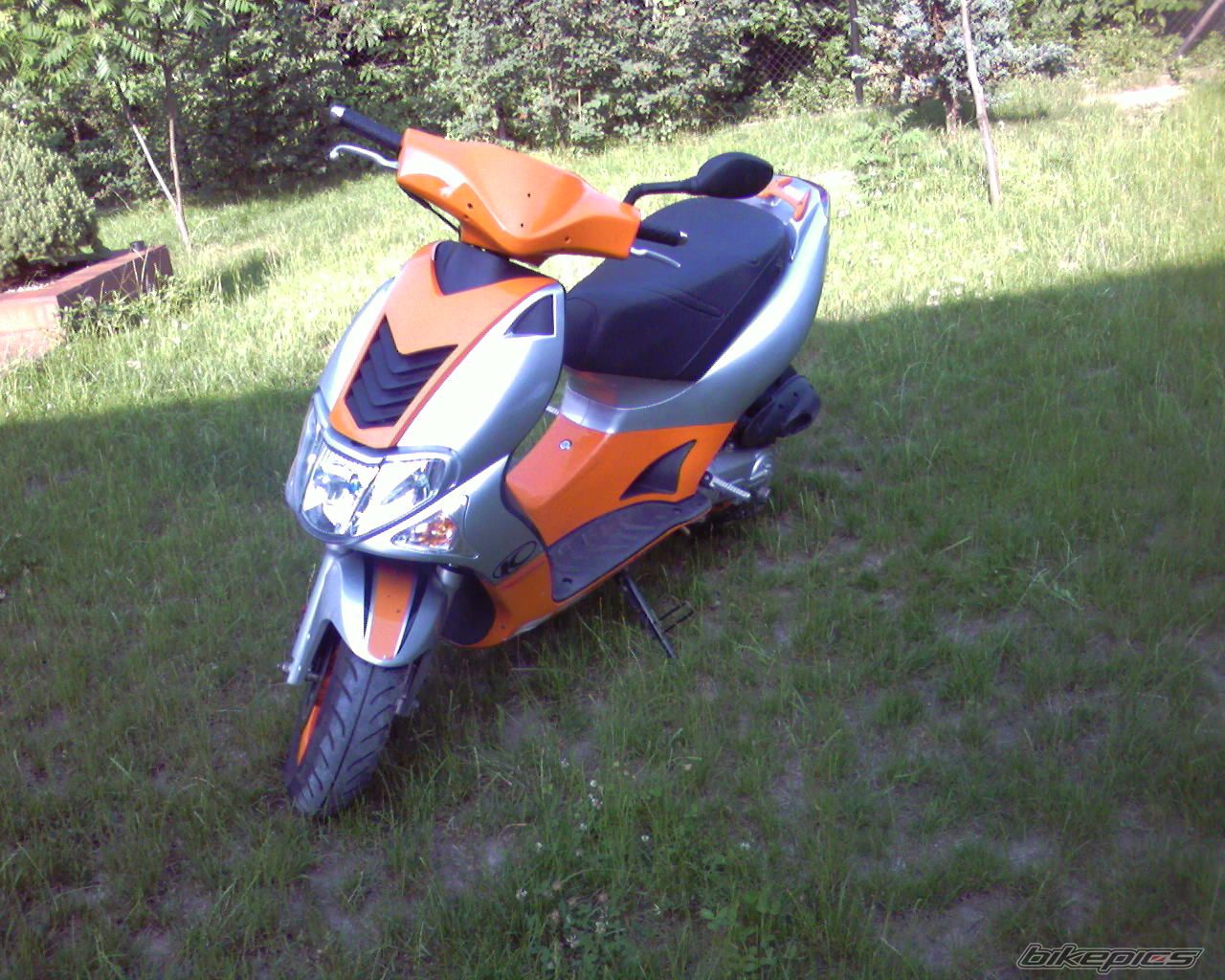 Photo 982509