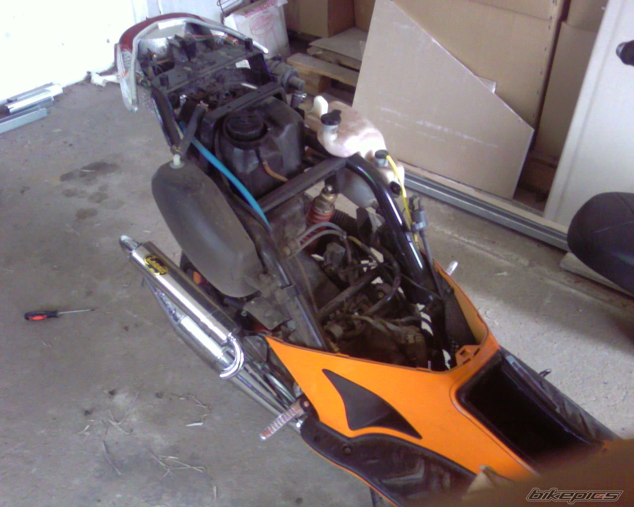 Photo 982513