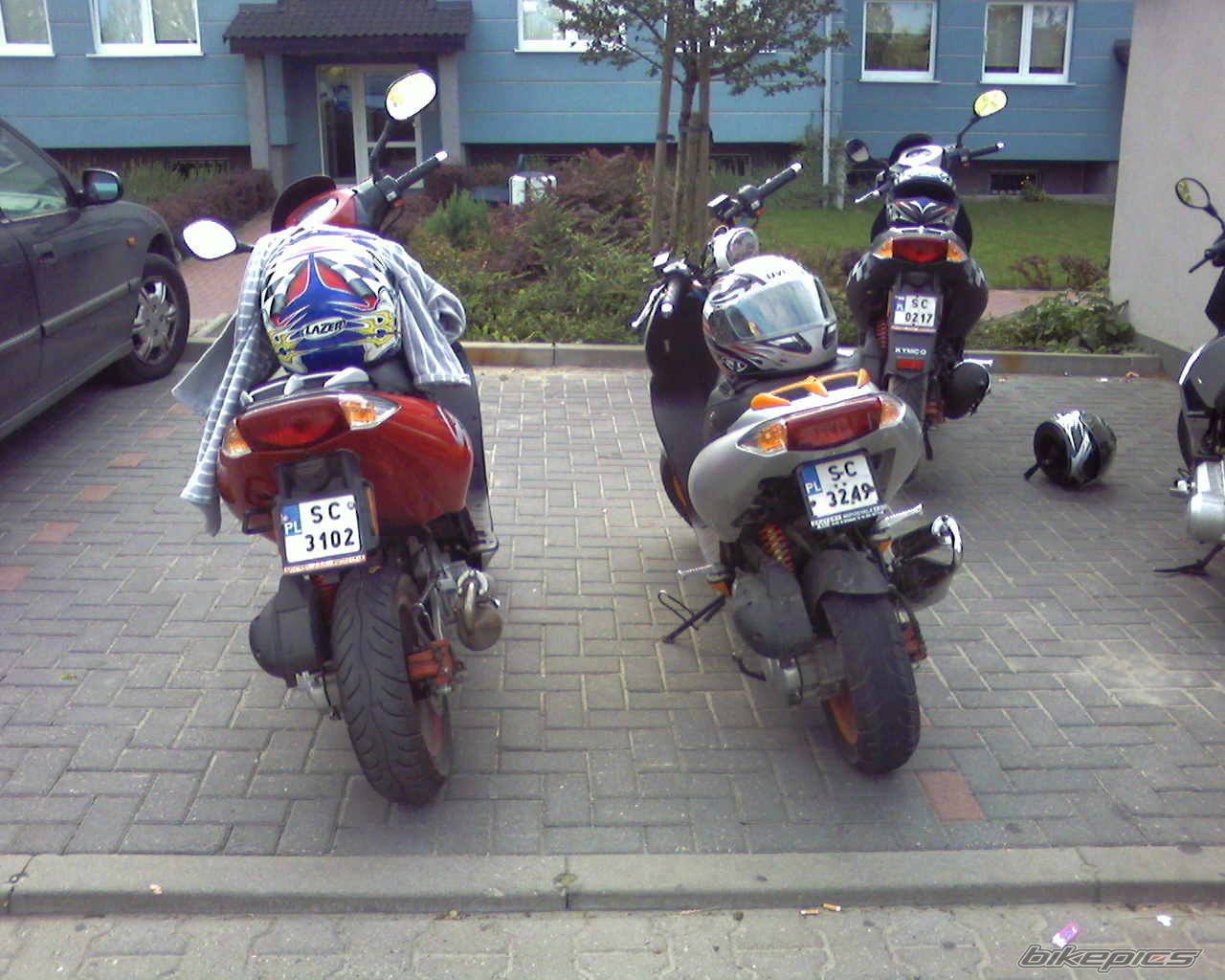 Photo 982521