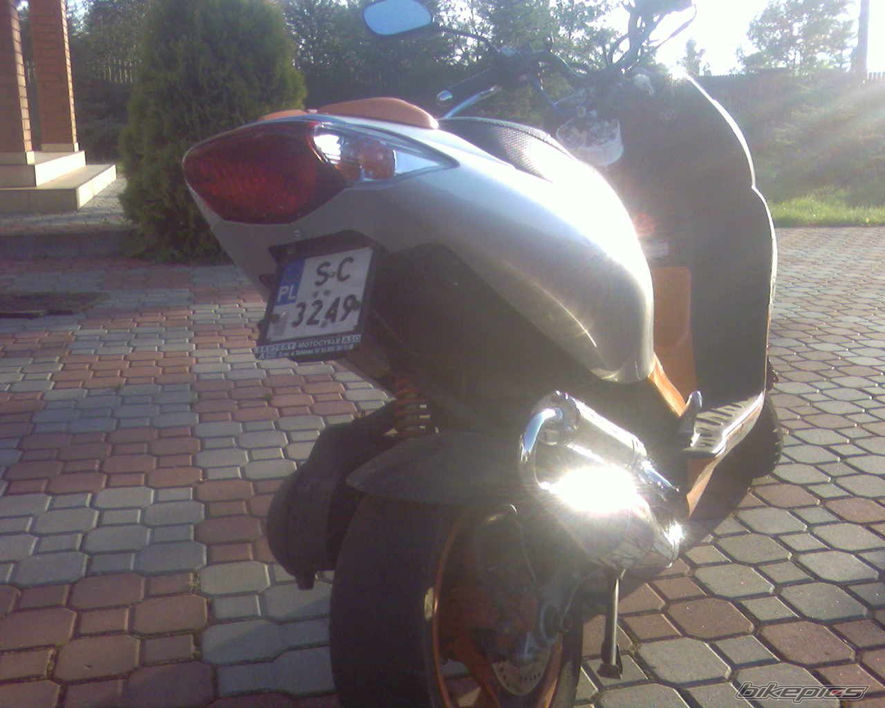 Photo 982527