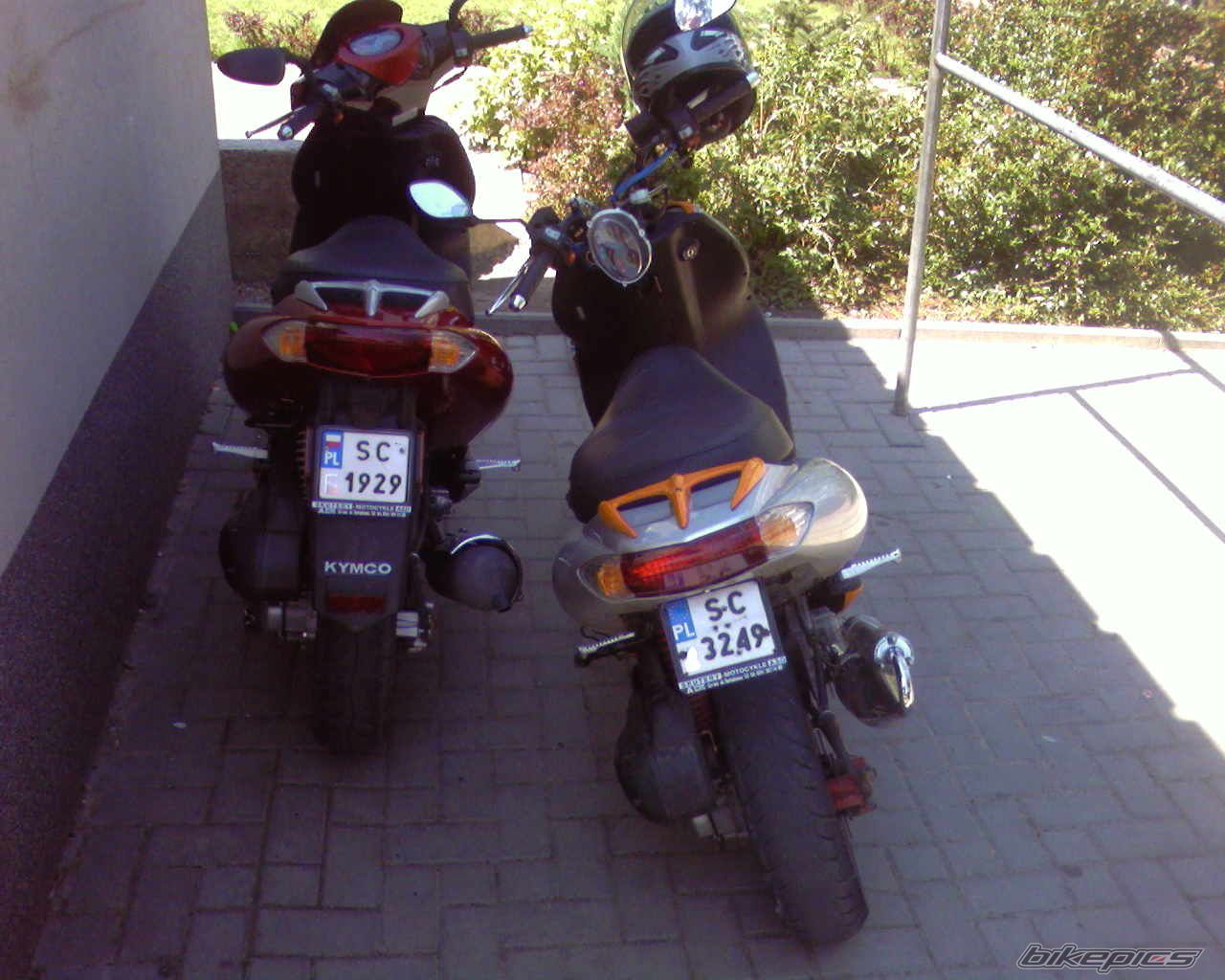 Photo 982528