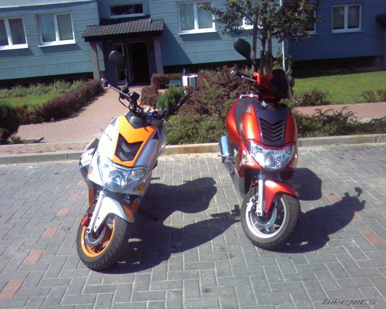 Photo 982529