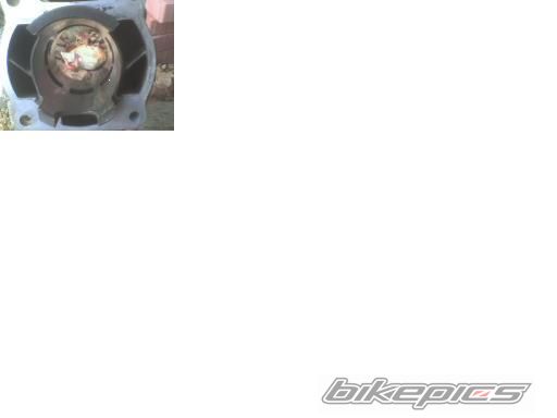 Photo 982557