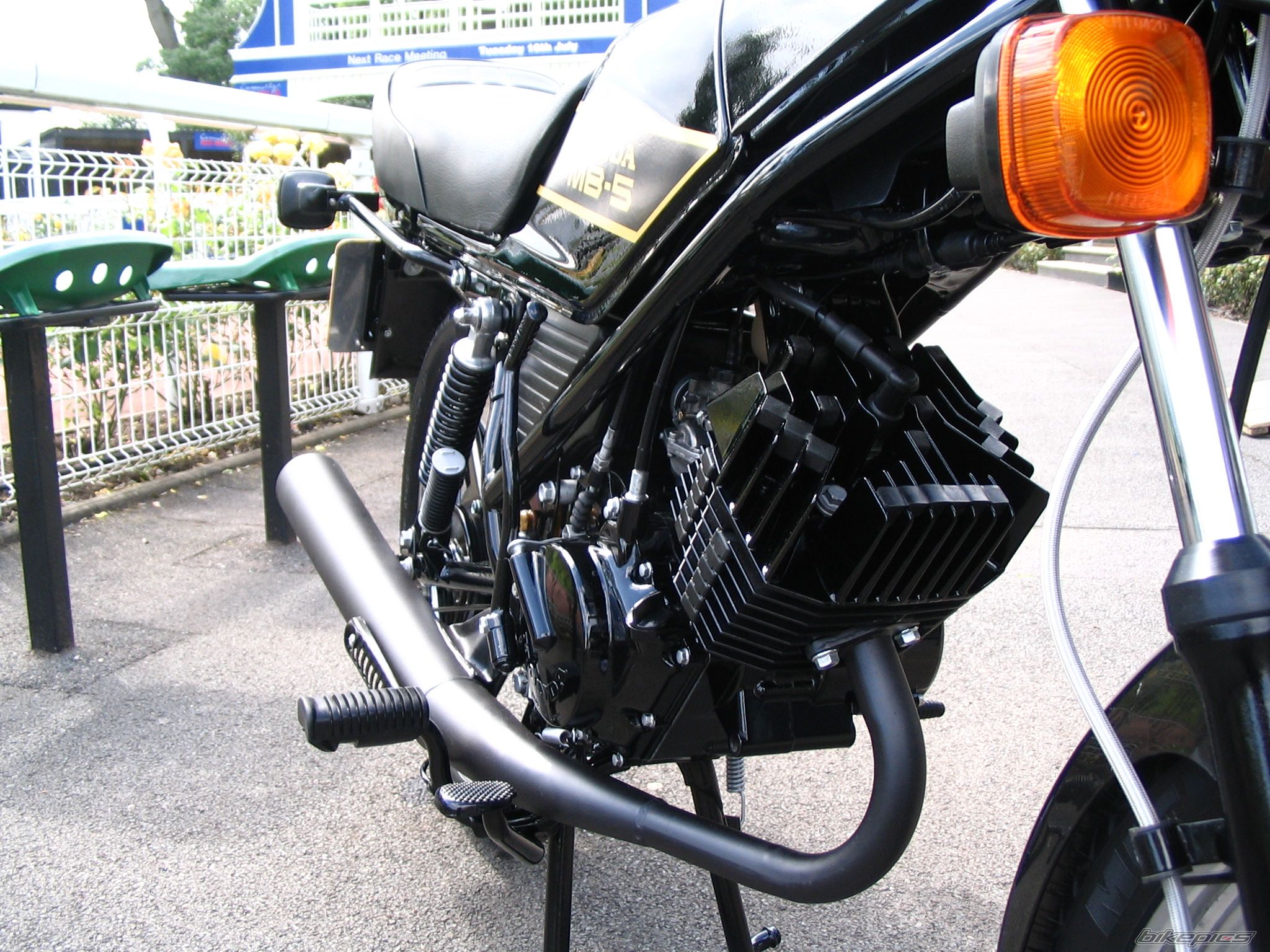 Photo 982576